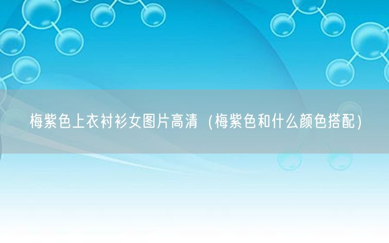 梅紫色上衣衬衫女图片高清（梅紫色和什么颜色搭配）