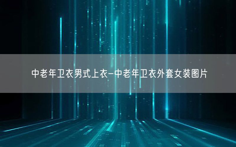 中老年卫衣男式上衣-中老年卫衣外套女装图片