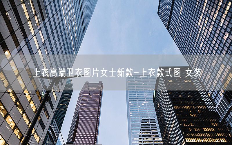 上衣高端卫衣图片女士新款-上衣款式图 女装