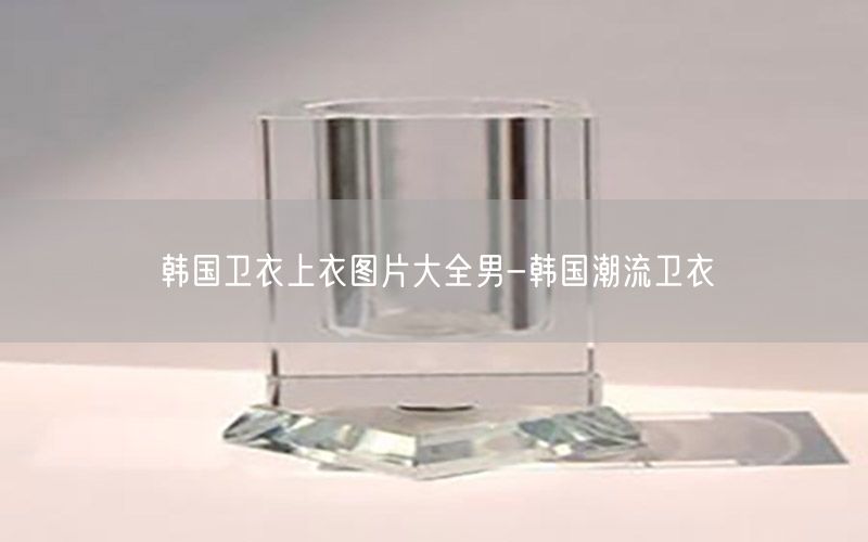韩国卫衣上衣图片大全男-韩国潮流卫衣